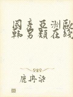 国产亚洲欧美日韩另类在线