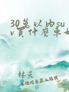 30万以内suv买什么车好