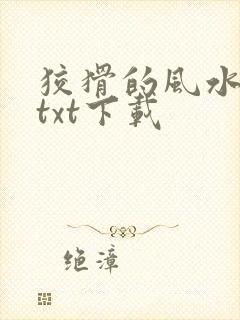 狡猾的风水相师txt下载