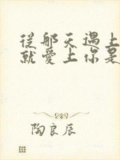 从那天遇上你我就爱上你是什么歌