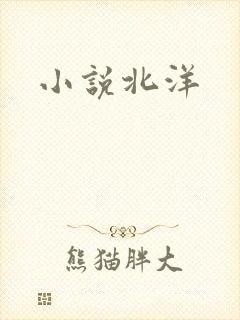 小说北洋