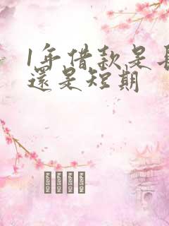 1年借款是长期还是短期