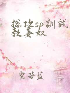 总攻sp训诫调教妾奴