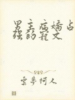 男主病娇占有欲强的宠文