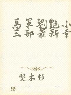 马军刘艳小说第三部最新章节