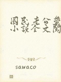 国民老公带回家小说全文阅读免费