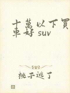 十万以下买什么车好 suv