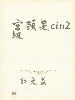宫颈是cin2级