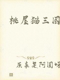 桃屋猫三国梦想