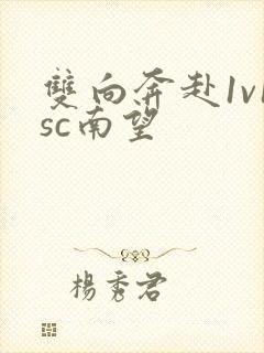 双向奔赴1v1sc南望