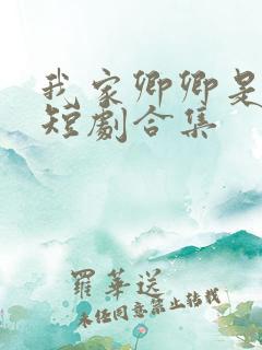 我家卿卿是太子短剧合集