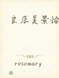 良辰美景恰似你