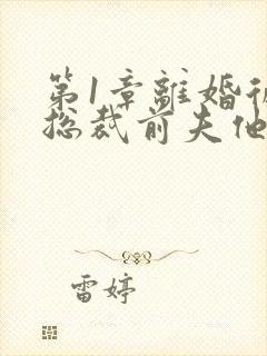 第1章离婚后,总裁前夫他疯了