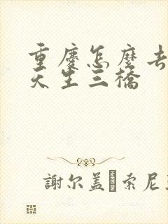 重庆怎么去武隆天生三桥