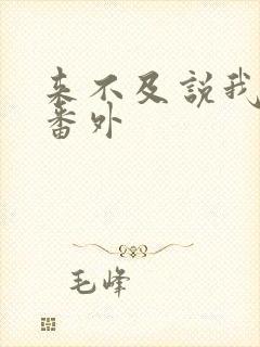 来不及说我爱你番外