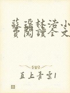 苏瑶林浩小说免费阅读全文最新章节