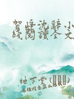 贺峥沈辞小说在线阅读全文无弹窗