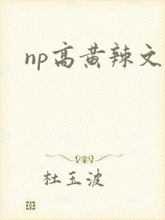 np高黄辣文