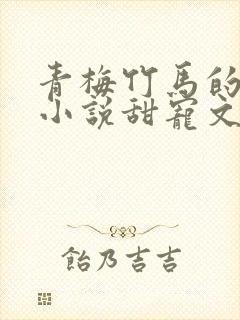 青梅竹马的言情小说甜宠文