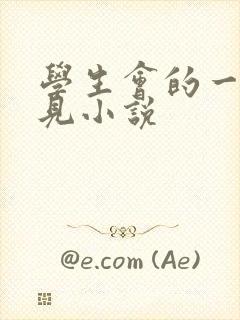 学生会的一己之见小说