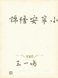 锦绣安宁小说