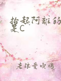 抬起阿离的腿就是C