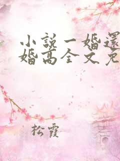 小说一婚还比一婚高全文免费阅读晨雾的光