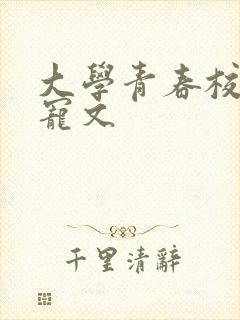 大学青春校园甜宠文