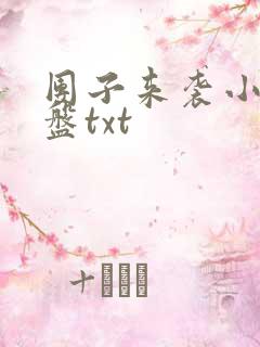 团子来袭小说网盘txt