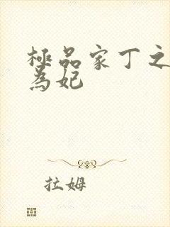 极品家丁之册母为妃