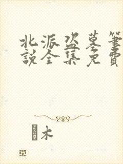 北派盗墓笔记小说全集免费看