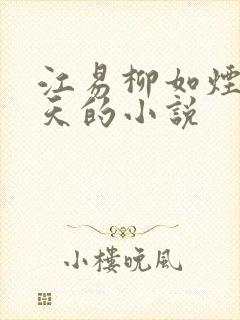 江易柳如烟秦少天的小说