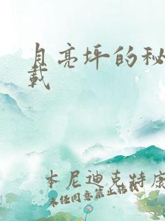 月亮坪的秘密下载