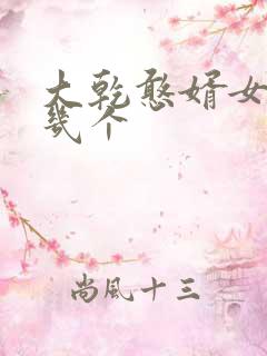 大乾憨婿女主有几个