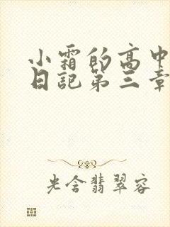 小霜的高中成长日记第三章