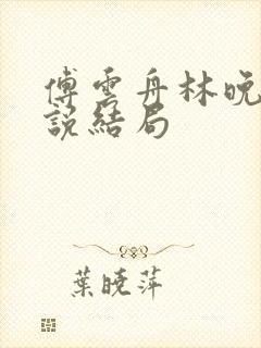 傅云舟林晚晴小说结局