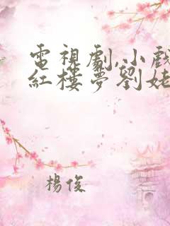 电视剧,小戏骨红楼梦刘姥姥进大观园