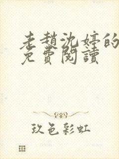 老赵沈婷的小说免费阅读