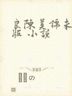 良陈美锦未删减版 小说