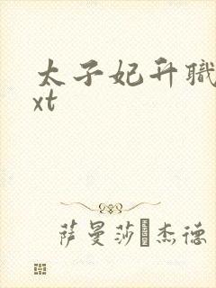 太子妃升职记txt