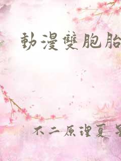 动漫双胞胎兄弟