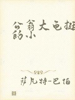 公翁大龟挺进我的小