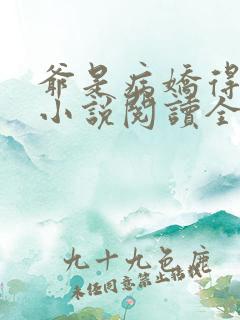 爷是病娇得宠着小说阅读全部