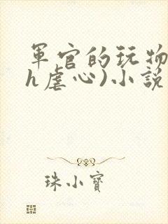 军官的玩物(高h虐心)小说