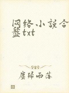 网络小说合集网盘txt