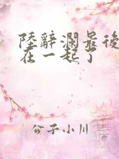 陆辞澜最后和谁在一起了