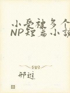 小受被多个攻强NP短篇小说