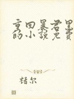 重回暴君黑化前的小说免费阅读