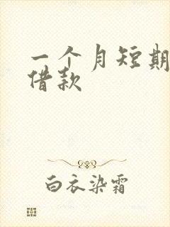 一个月短期小额借款