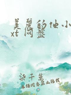 美丽的他小说txt 网盘